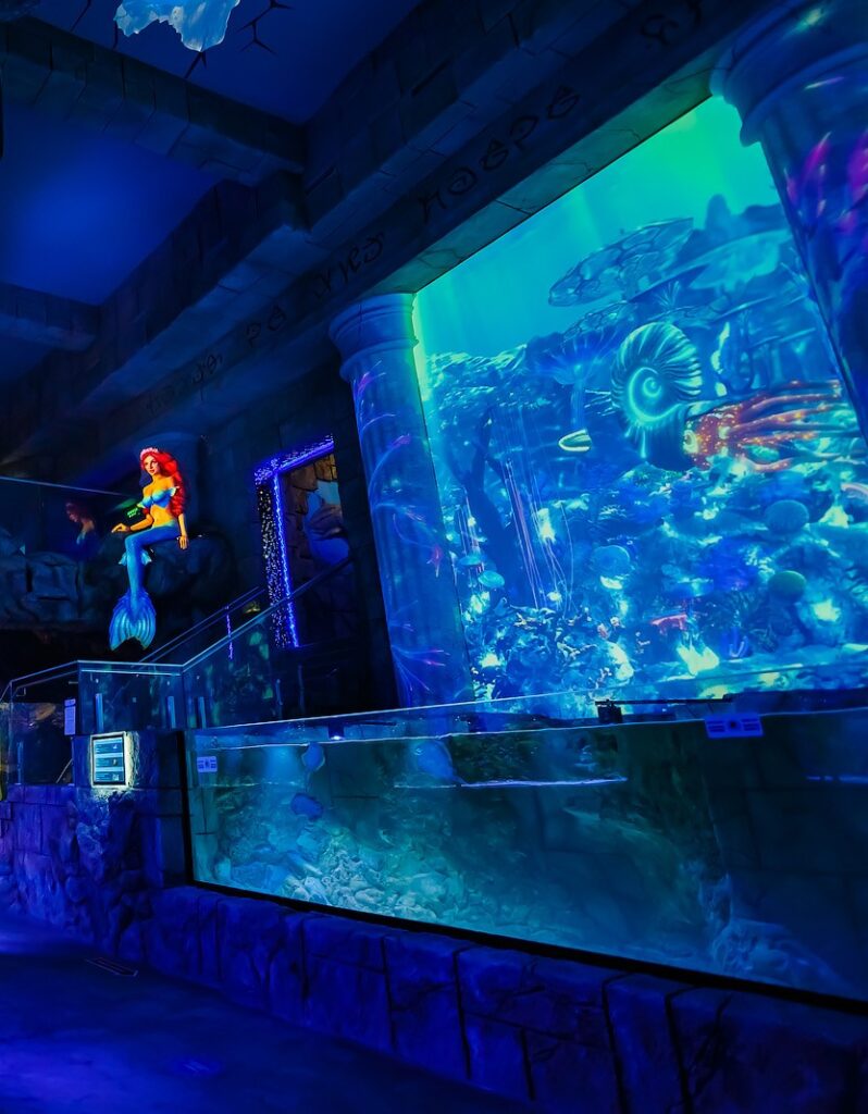 Зануртеся у Чарівний Світ Океану: 3D-Подорож у Океанаріумі Львова!
