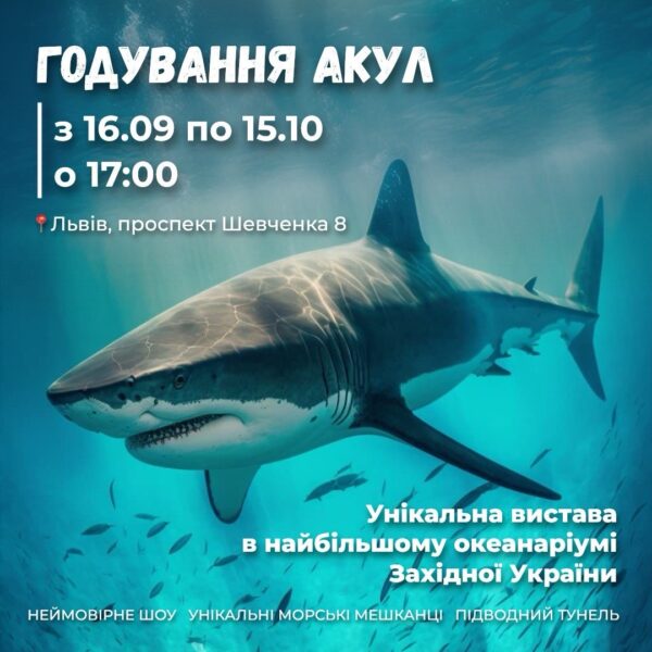 Безкоштовна атракція – годування акул різних видів