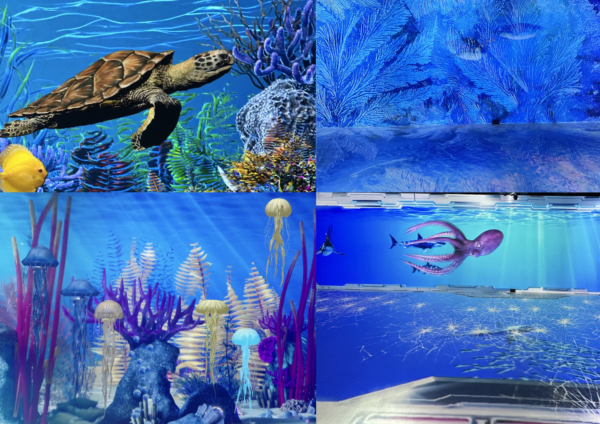 У нас  новинка – інтерактивна імерсивна кімната «Чотири океани»